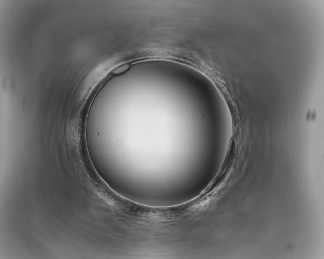 X0000091300103200708101316