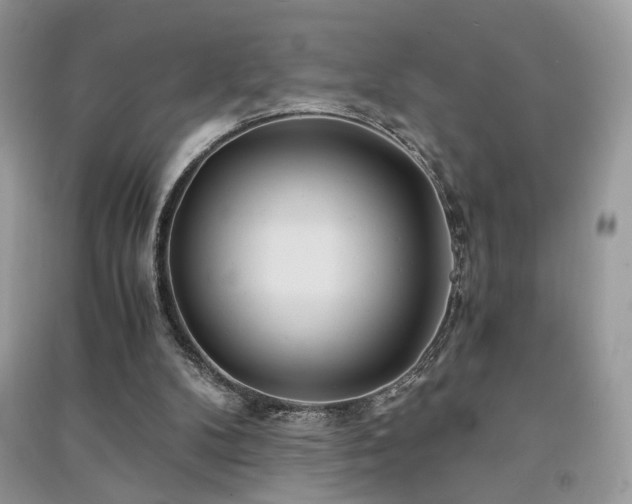 X0000091300104200708101316