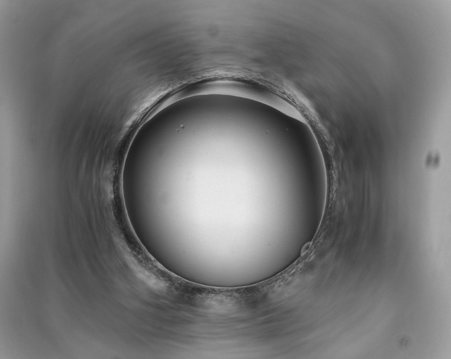 X0000091300106200708101316