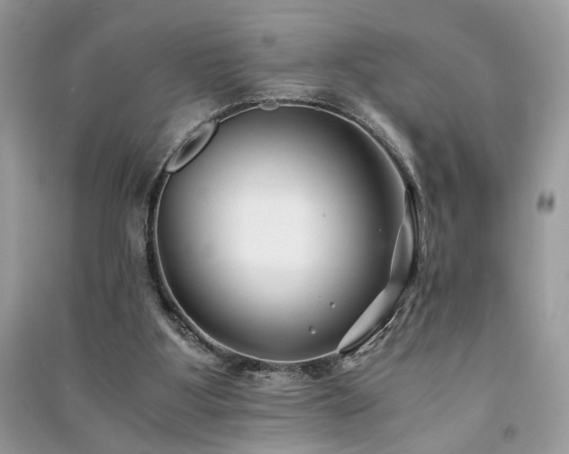 X0000091300107200708101316