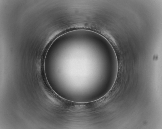 X0000091300108200708101316