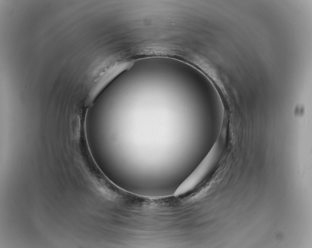 X0000091300109200708101316