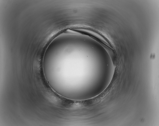 X0000091300111200708101316