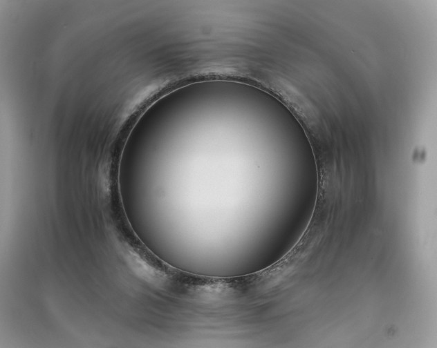 X0000091300112200708101316