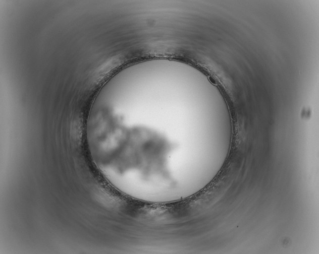 X0000091300113200708101316