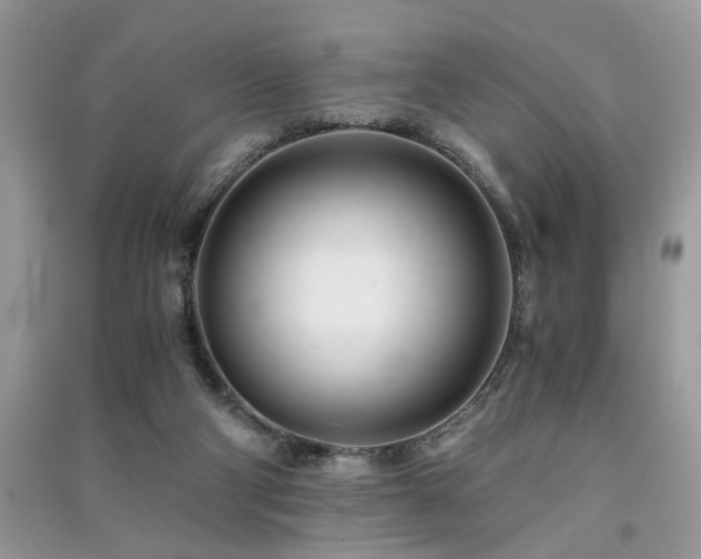 X0000091300114200708101316