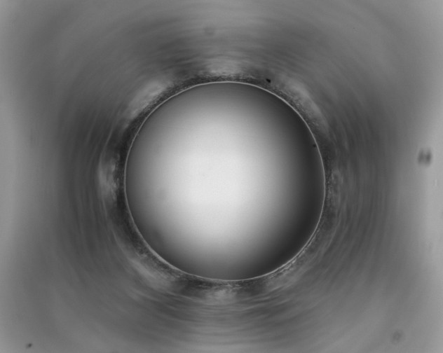 X0000091300116200708101316