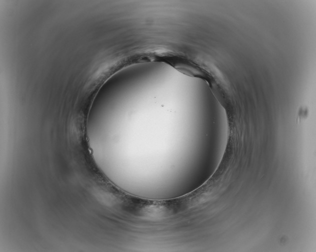 X0000091300119200708101316