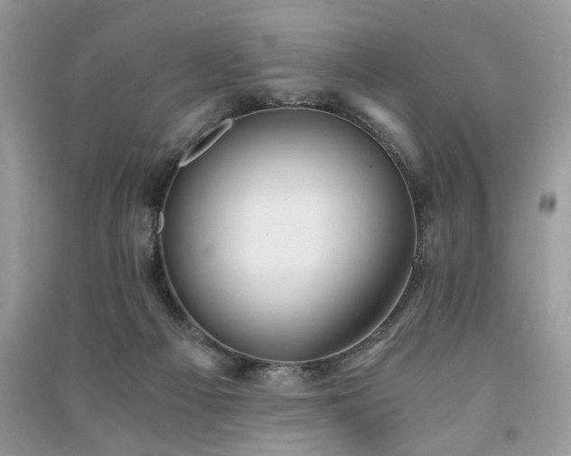 X0000091300121200708101316