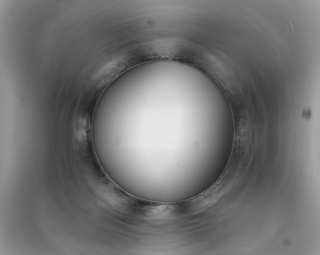 X0000091300122200708101316