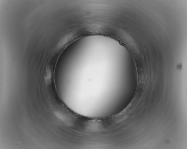 X0000091300124200708101316