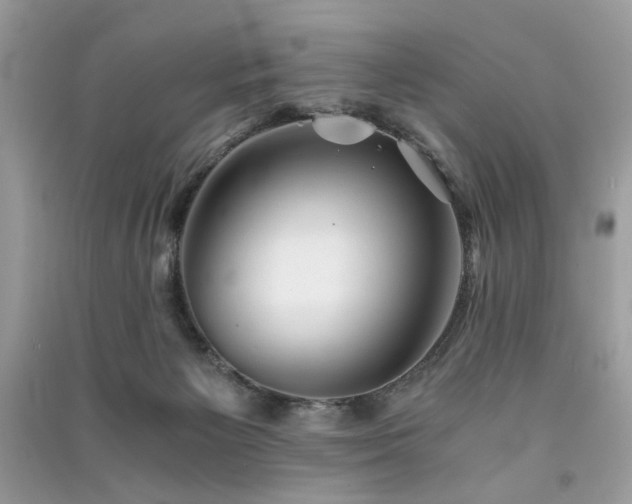 X0000091300125200708101316