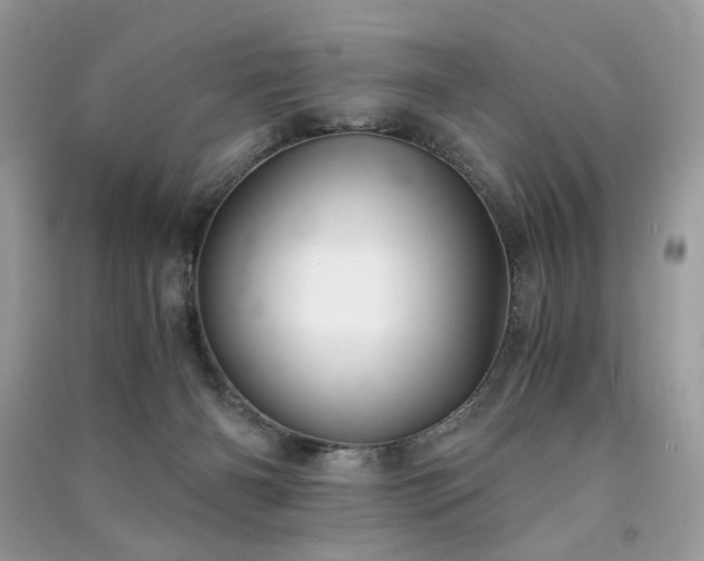 X0000091300126200708101316