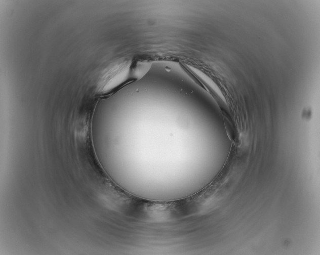 X0000091300129200708101316