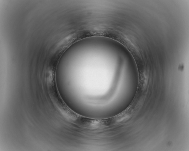 X0000091300130200708101316