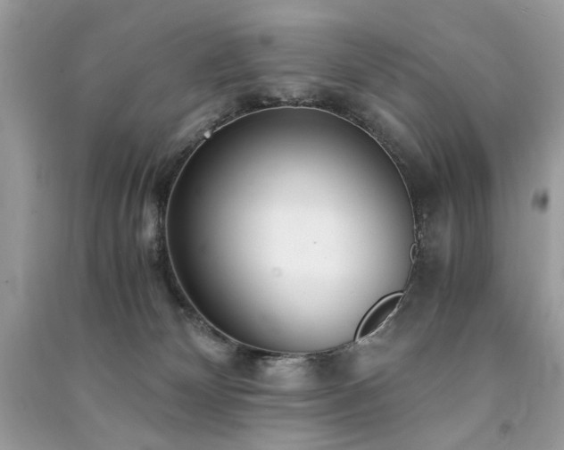 X0000091300132200708101316