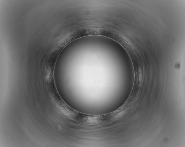 X0000091300134200708101316