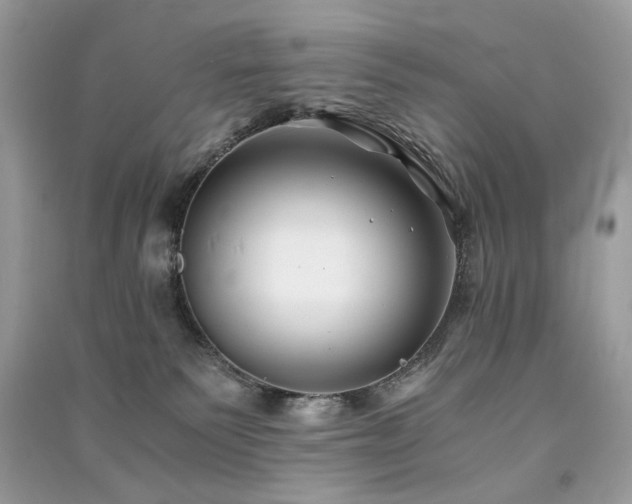 X0000091300135200708101316