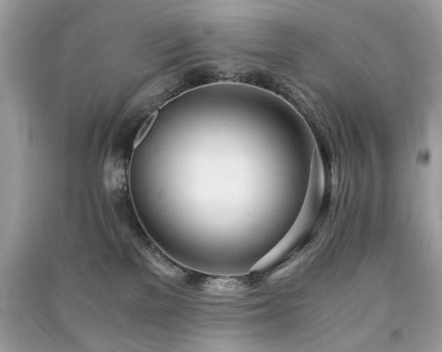 X0000091300137200708101316