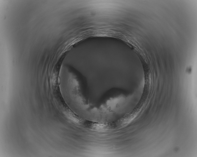 X0000091300139200708101316