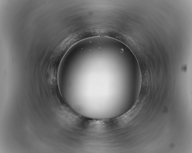 X0000091300140200708101316