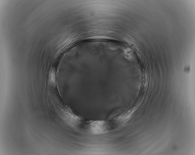 X0000091300143200708101316