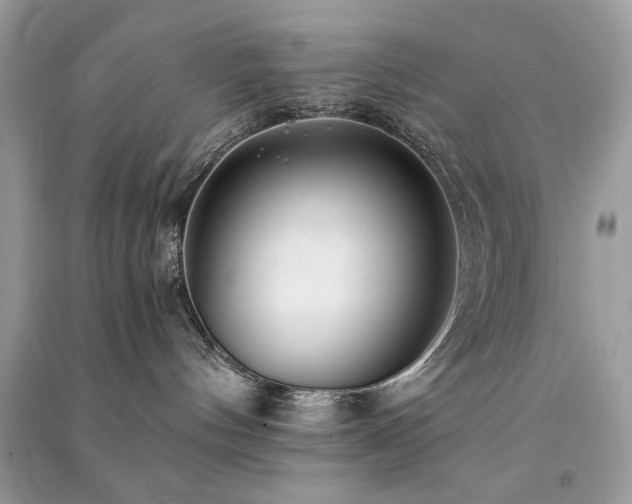 X0000091300144200708101316