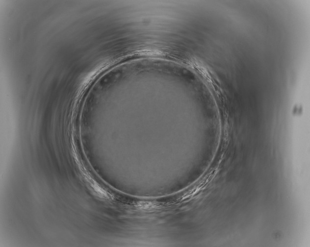 X0000091300145200708101315