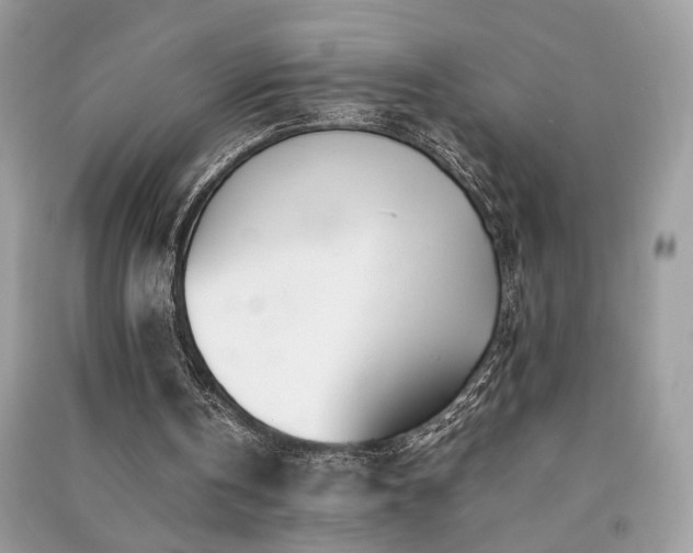 X0000091300146200708101315