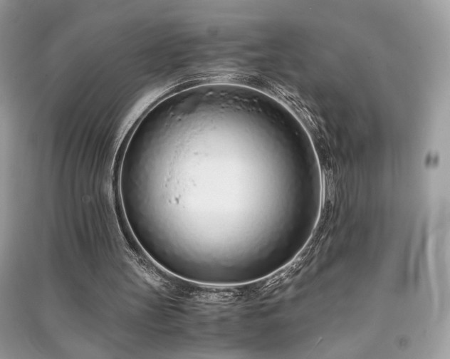 X0000091300147200708101315