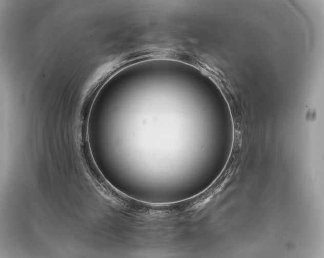 X0000091300149200708101315