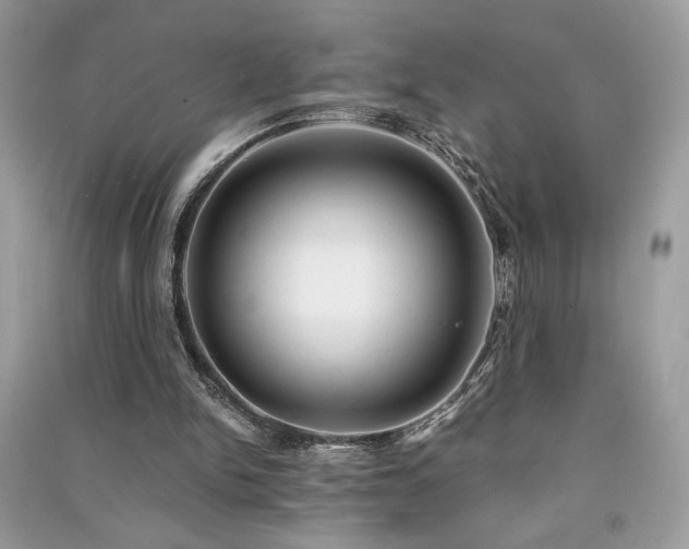 X0000091300150200708101315