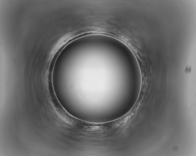 X0000091300151200708101315