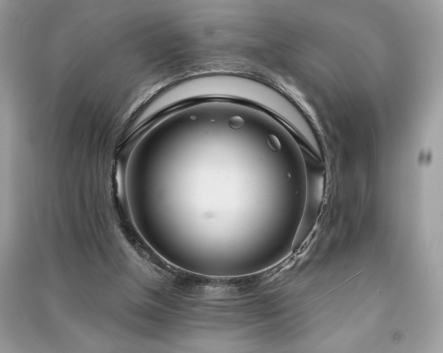 X0000091300154200708101315