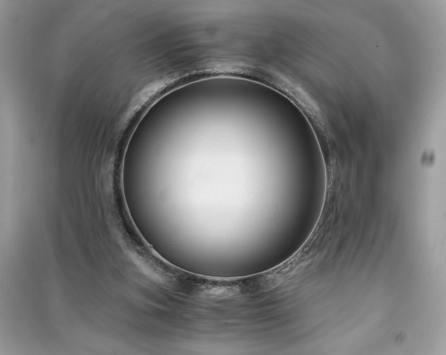 X0000091300155200708101315