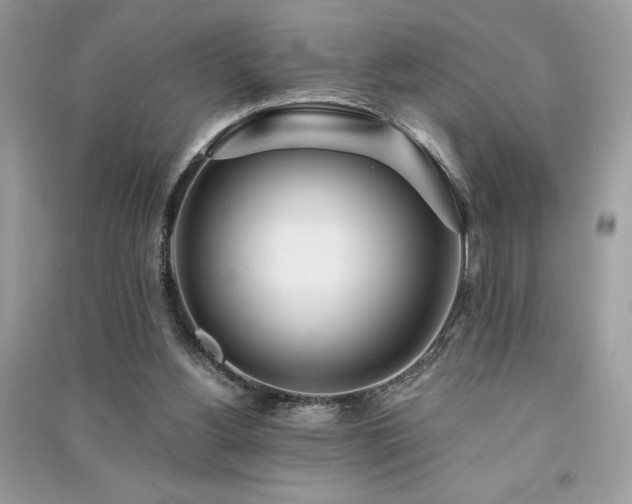 X0000091300156200708101315