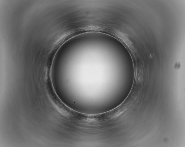 X0000091300157200708101315