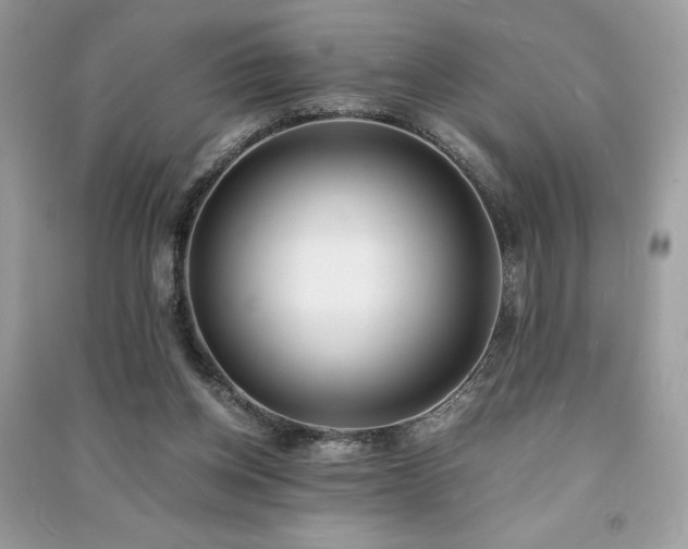 X0000091300158200708101315