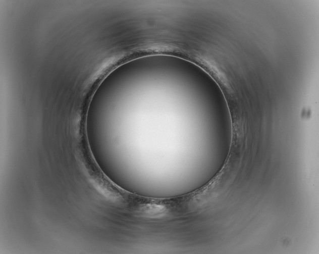 X0000091300159200708101315