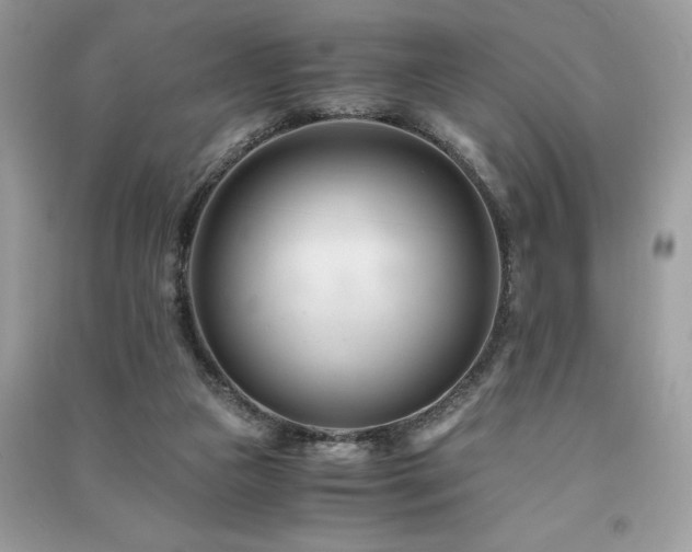 X0000091300161200708101316