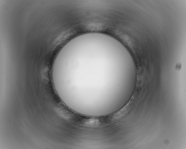 X0000091300162200708101316