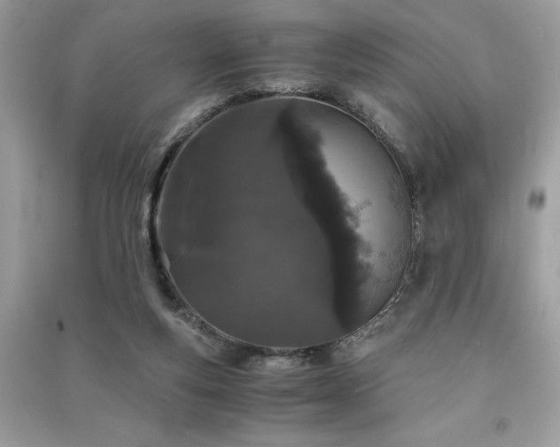 X0000091300163200708101316