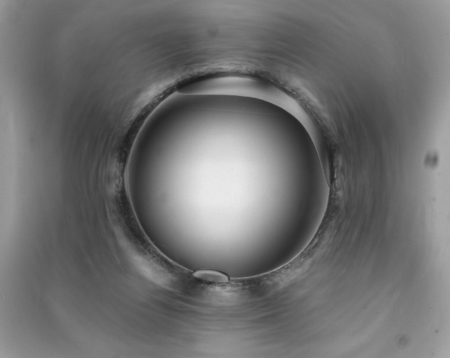 X0000091300164200708101316