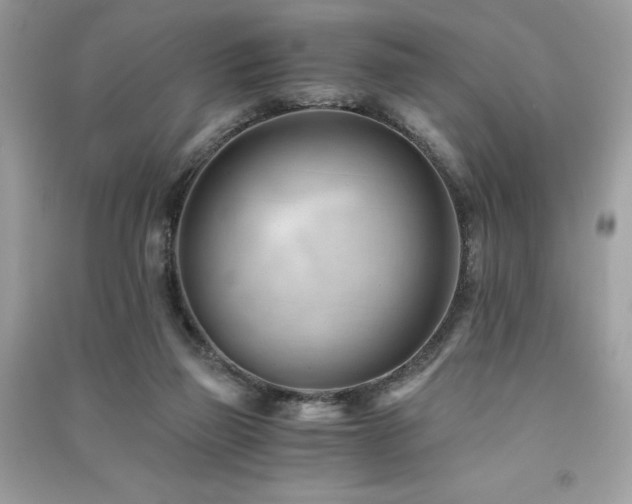 X0000091300165200708101316