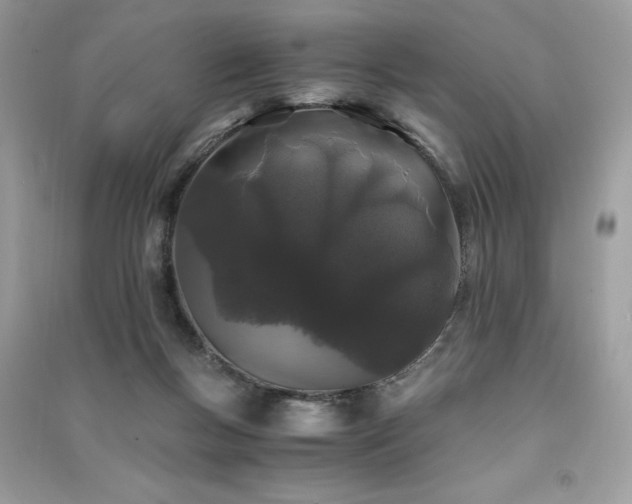 X0000091300167200708101316