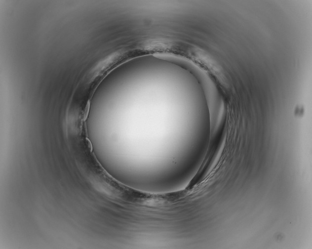 X0000091300168200708101316