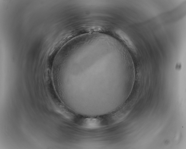 X0000091300169200708101316