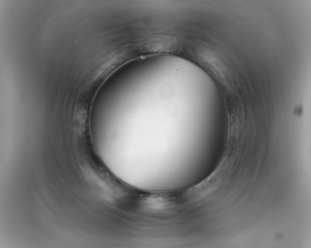 X0000091300171200708101316