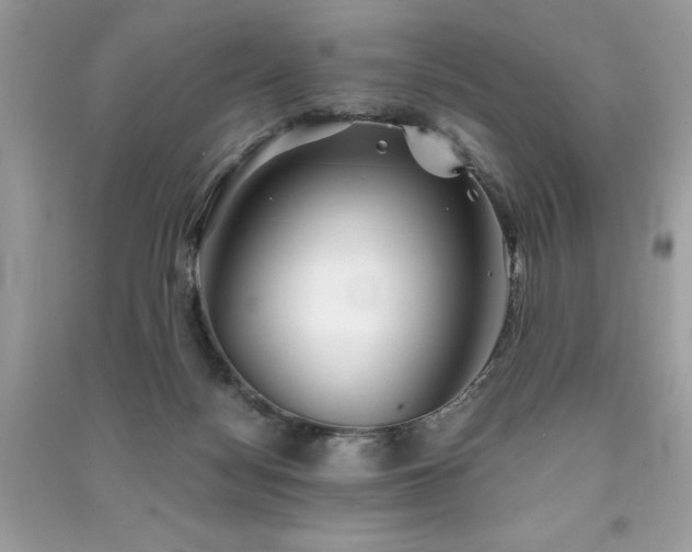 X0000091300172200708101316