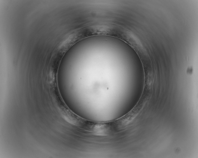 X0000091300173200708101316